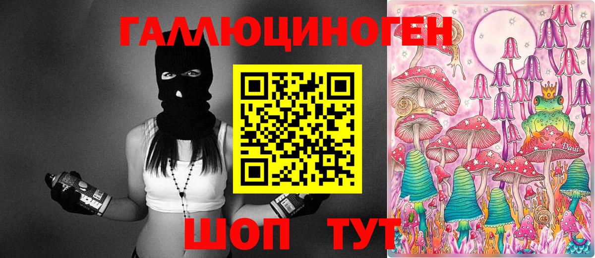 Псилоцибиновые грибы мицелий Солнечногорск