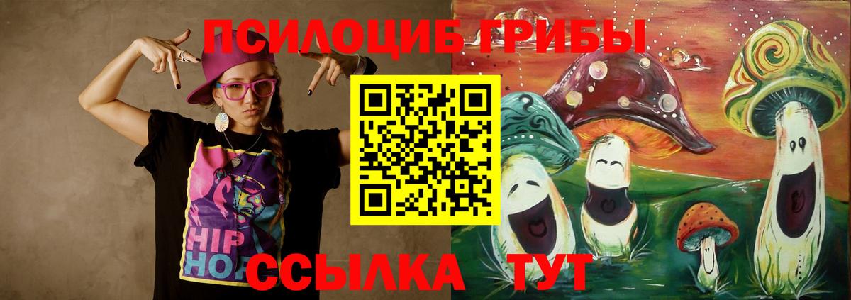 Галлюциногенные грибы Psilocybe  Псилоцибиновые грибы Psilocybine cubensis  Вход с VPN  Солнечногорск 